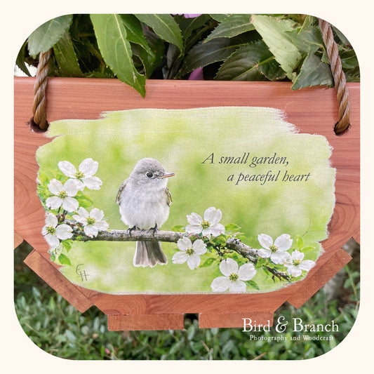 Acadian Flycatcher hanging cedar basket planter