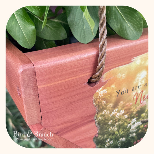 Lady Cardinal hanging cedar basket planter