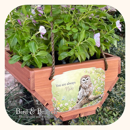Owl hanging cedar basket planter