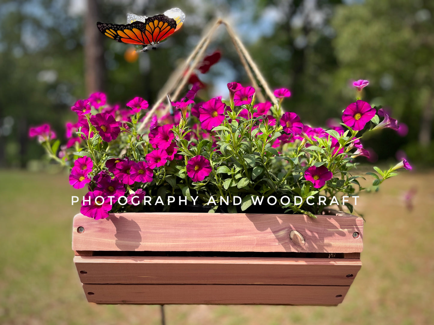 Hummingbirds cedar wood hanging planter