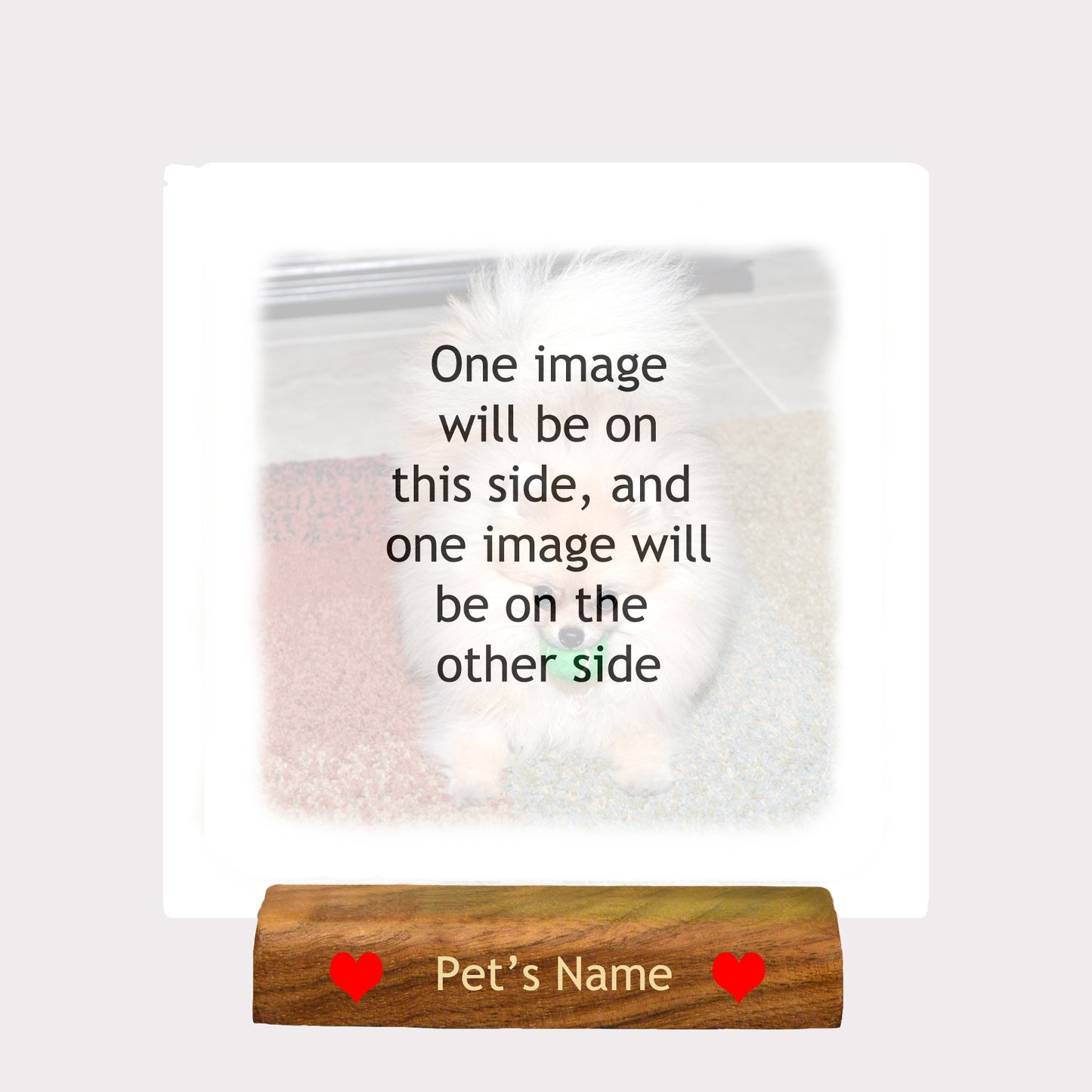 5" x 5" Custom Pet Photo on Wood with Display stand