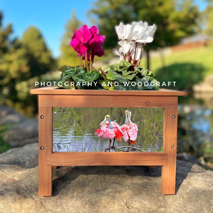 Egrets and Spoonbills Planter