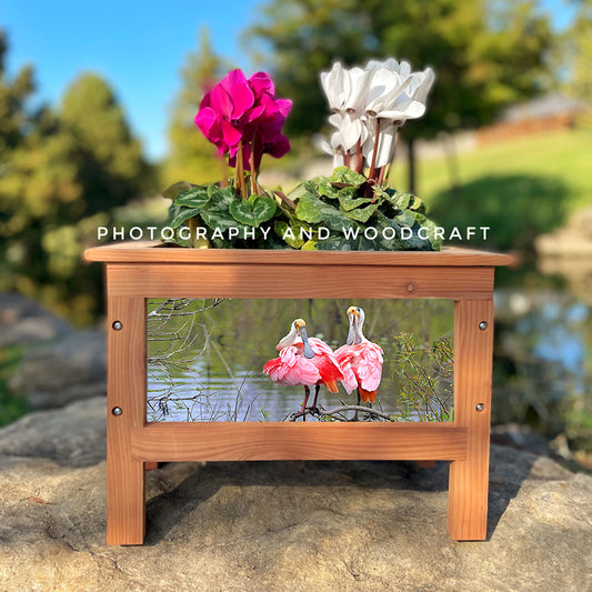 Egrets and Spoonbills Planter