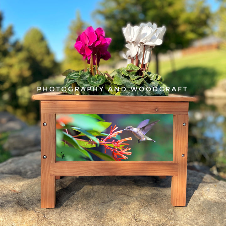 Hummingbirds Planter