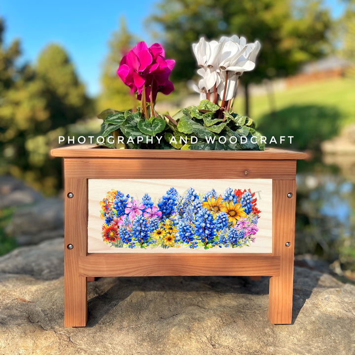 Texas Bluebonnets Planter