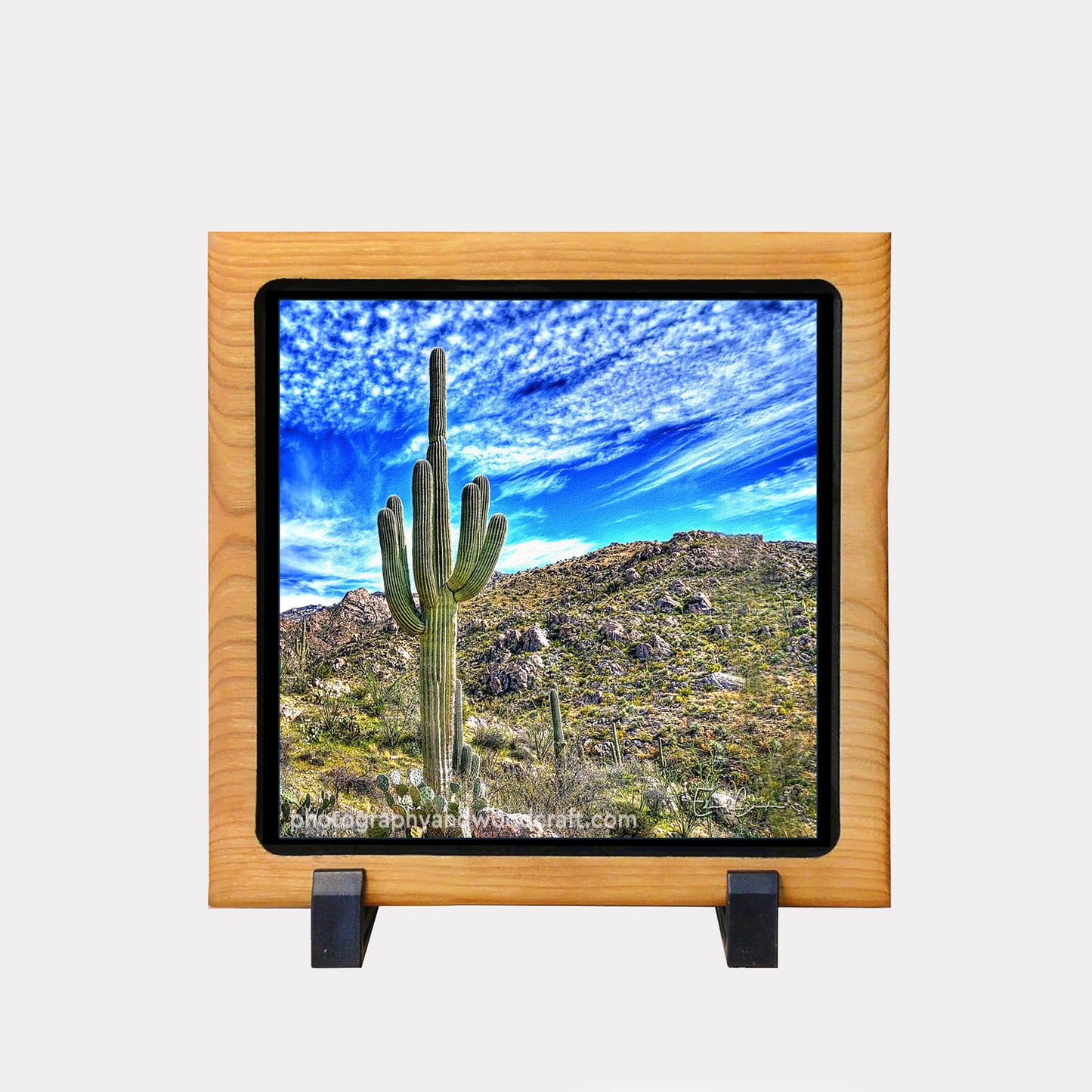 5" x 5" Saguaro cactus. Canvas Print in Solid Wood Floating Frame