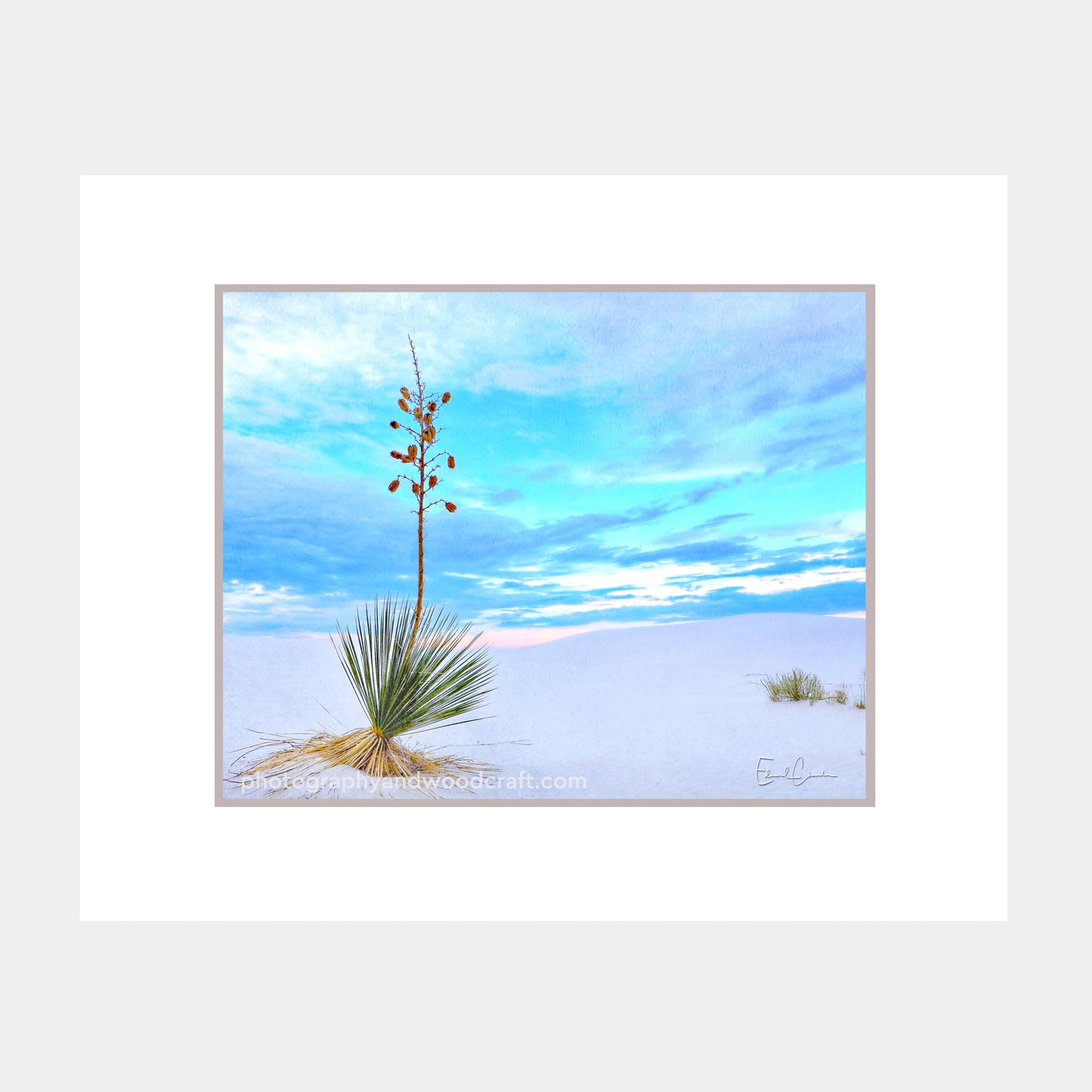 Desert Land (11" x 14") Matted Canvas Print