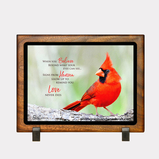 5" x 7" Cardinal. Canvas Print in Solid Wood Floating Frame