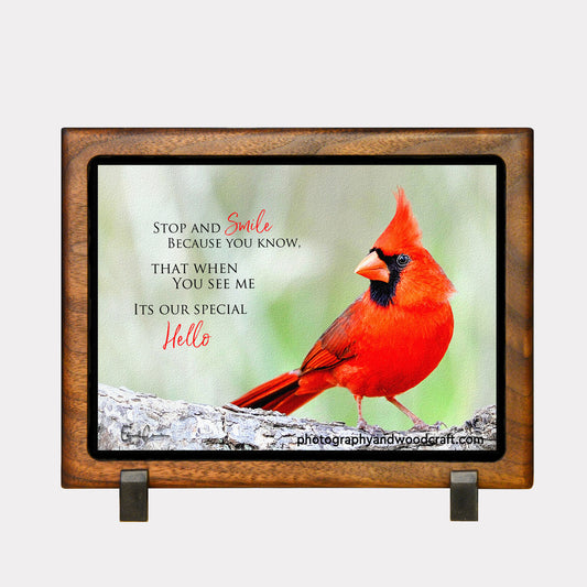 5" x 7" Cardinal. Canvas Print in Solid Wood Floating Frame