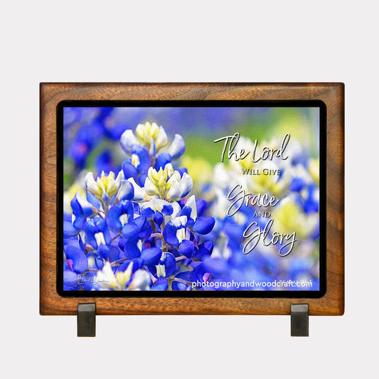 5" x 7" Bluebonnets. Canvas Print in Solid Wood Floating Frame