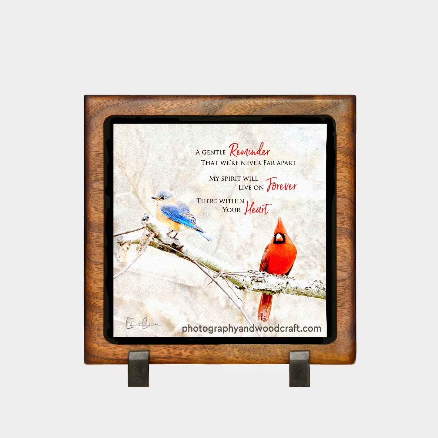 Copy of 5" x 5" Cardinals with Sayings in Solid Wood Floating Frame