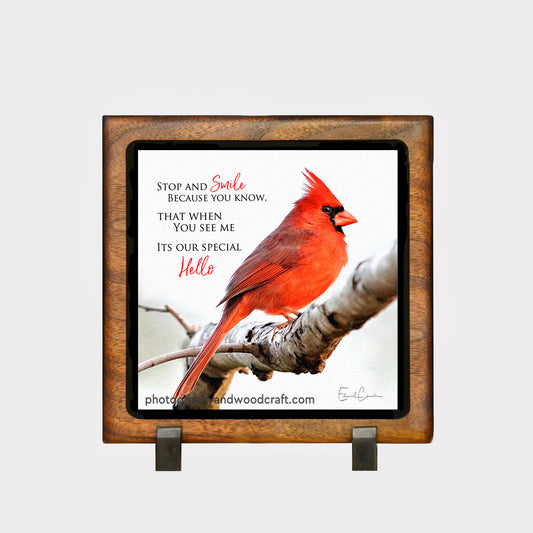 5" x 5" Cardinals with Sayings in Solid Wood Floating Frame