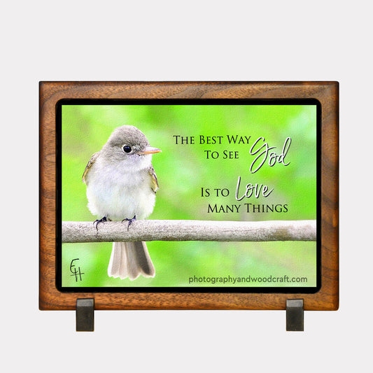 5" x 7" Flycatcher. Canvas Print in Solid Wood Floating Frame