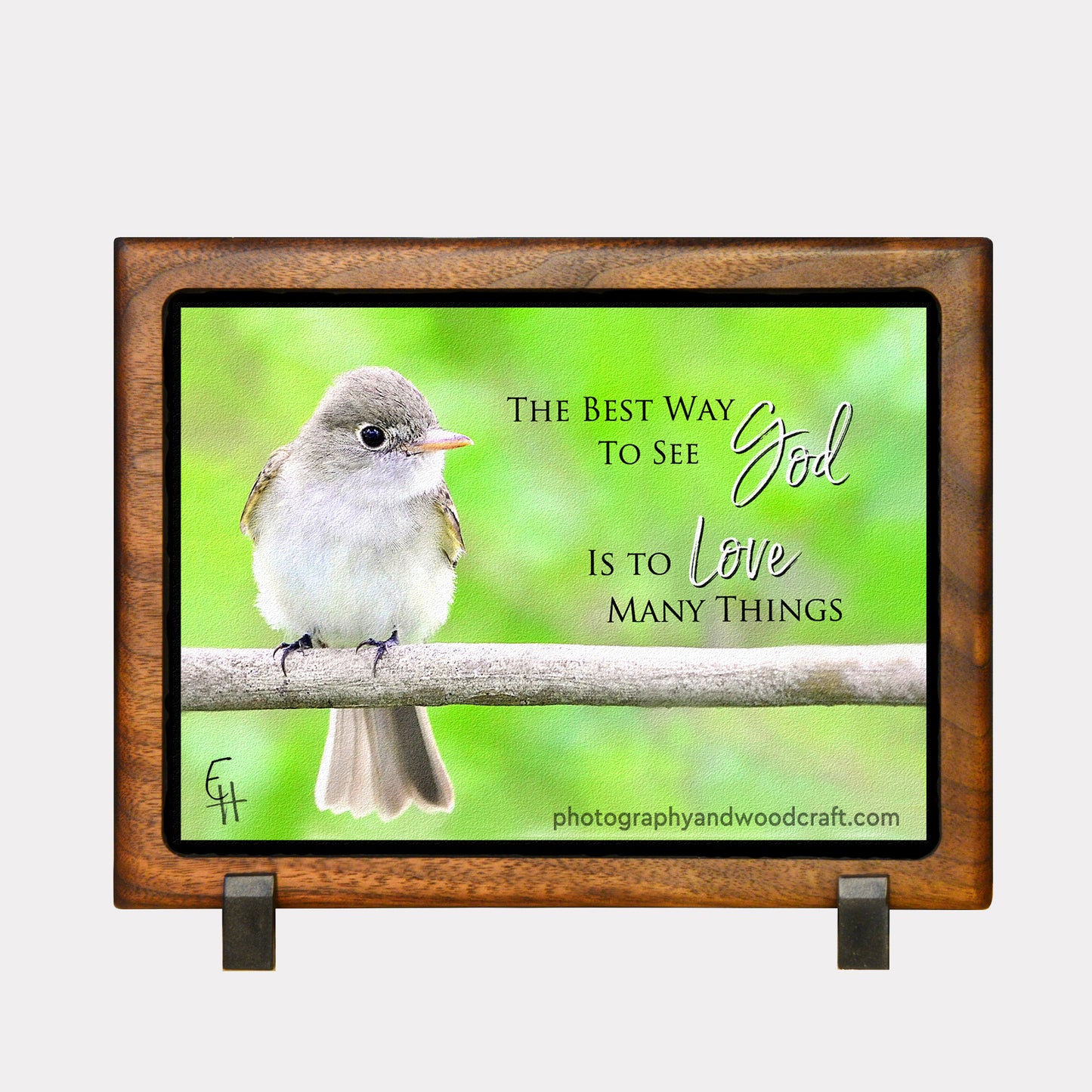 5" x 7" Flycatcher. Canvas Print in Solid Wood Floating Frame