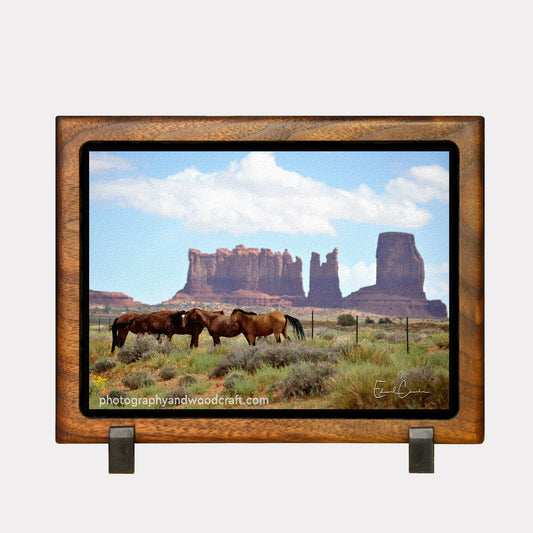 5" x 7" horses. Canvas Print in Solid Wood Floating Frame