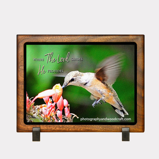5" x 7" Rufous Hummingbird. Canvas Print in Solid Wood Floating Frame