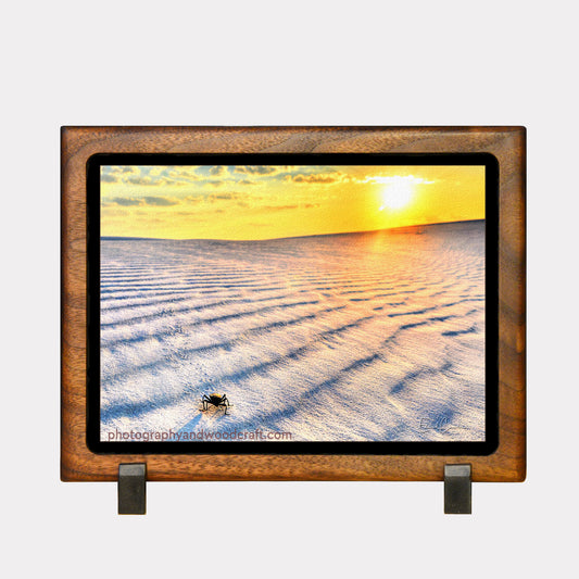 5" x 7" Beetle at White Sands. Canvas Print in Solid Wood Floating Frame