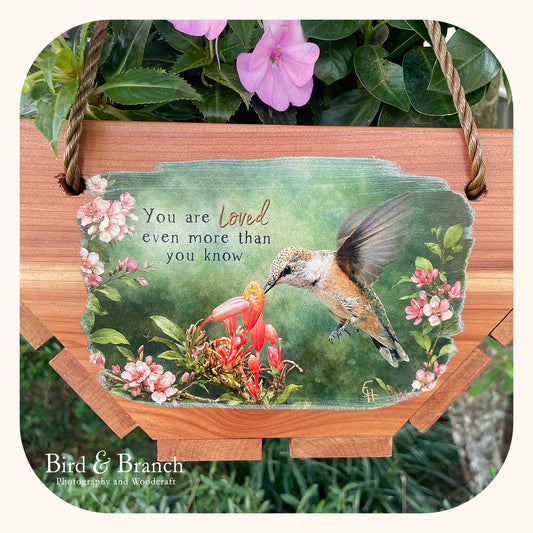 Rufous Hummingbird hanging cedar basket planter