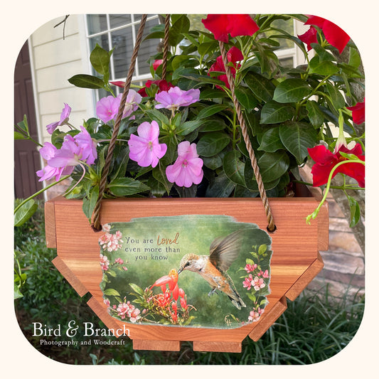 Rufous Hummingbird hanging cedar basket planter