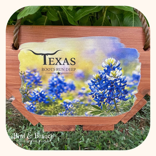 Texas Bluebonnets hanging cedar basket planter