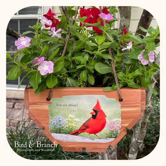 Northern Cardinal (red bird) hanging cedar basket planter