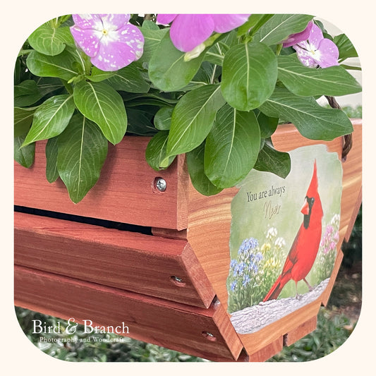 Northern Cardinal (red bird) hanging cedar basket planter