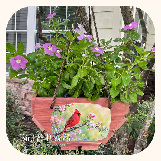 Cardinal hanging cedar basket planter