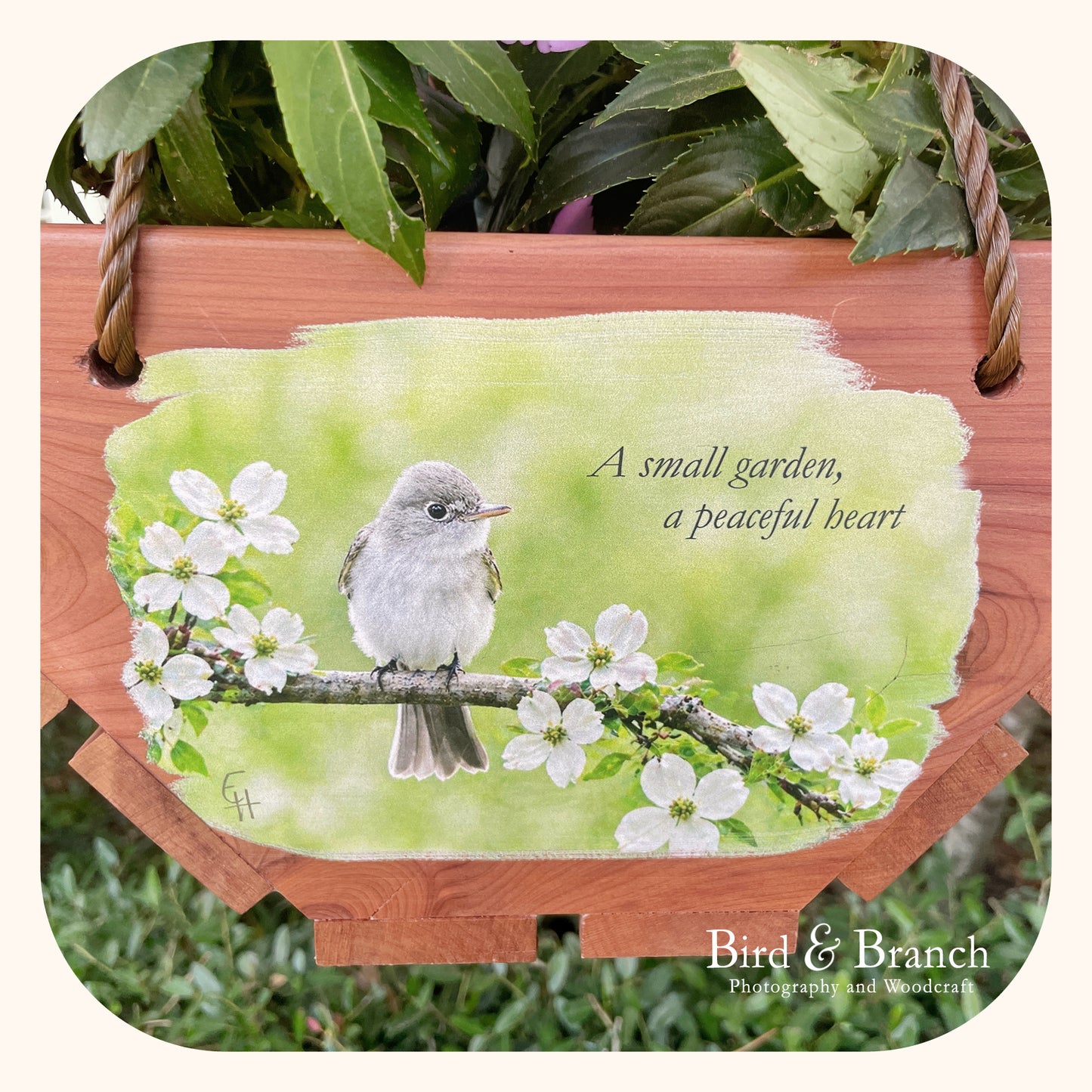 Acadian Flycatcher hanging cedar basket planter