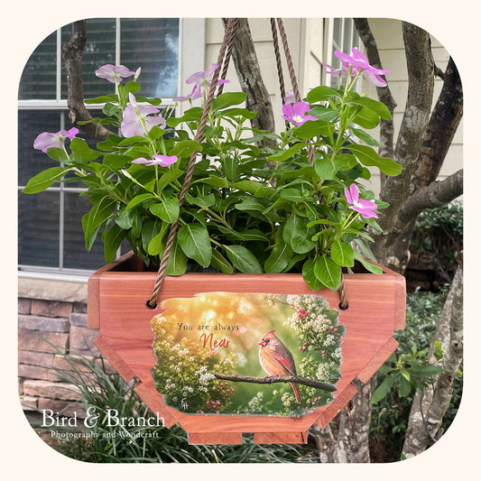 Lady Cardinal hanging cedar basket planter