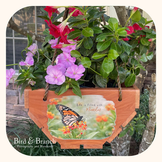 Monarch butterfly hanging cedar basket planter