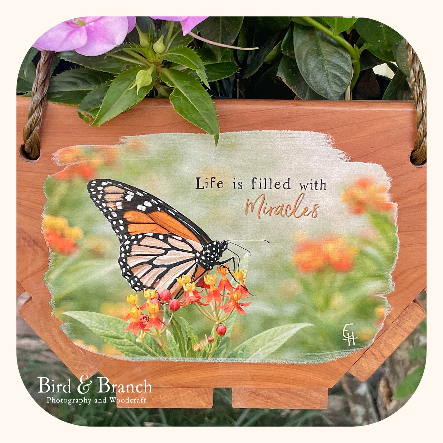 Monarch butterfly hanging cedar basket planter