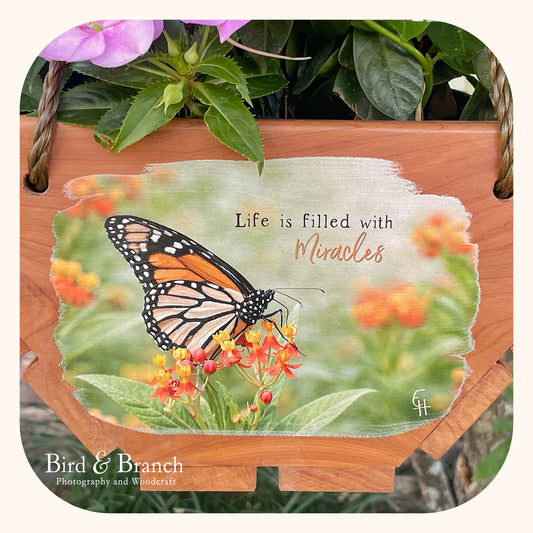 Monarch butterfly hanging cedar basket planter