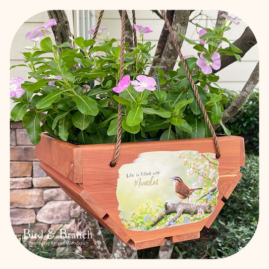 Carolina Wren hanging cedar basket planter