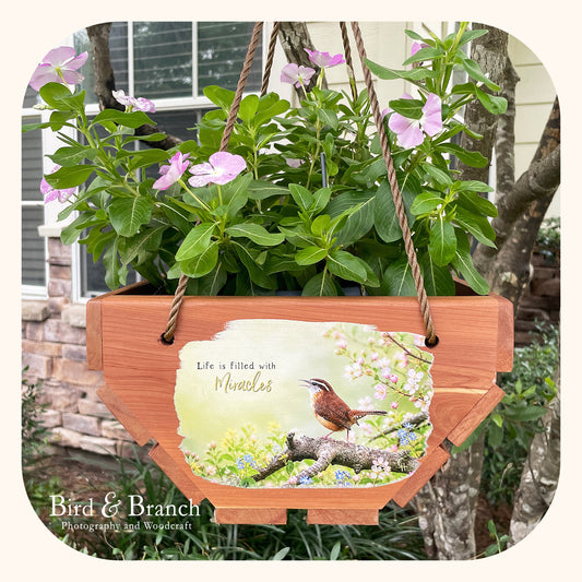 Carolina Wren hanging cedar basket planter