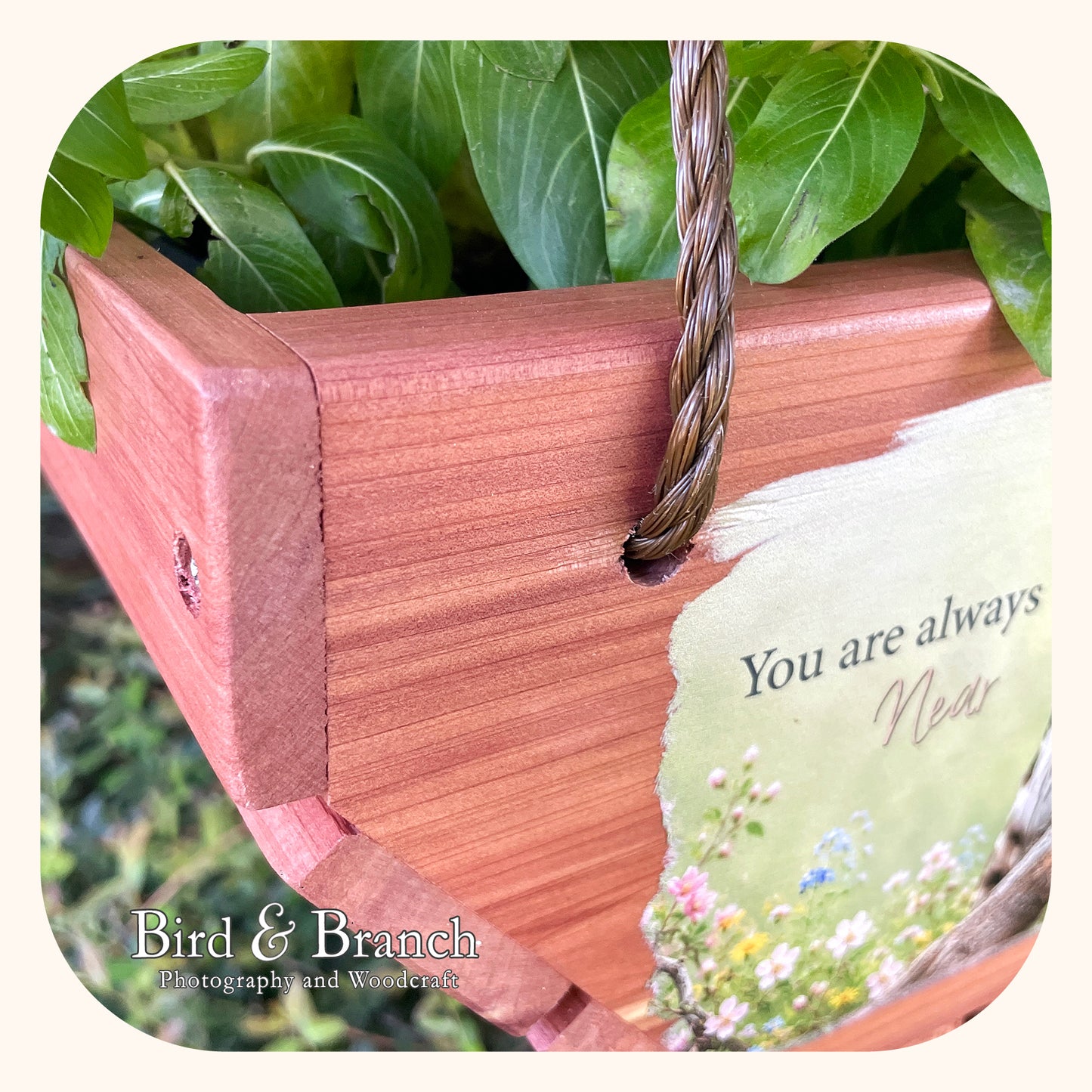 Owl hanging cedar basket planter