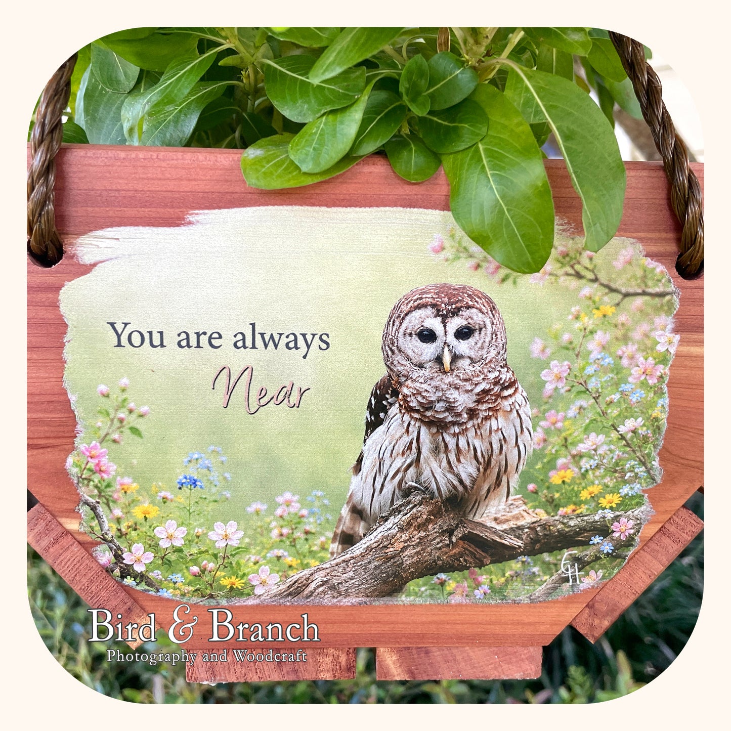 Owl hanging cedar basket planter