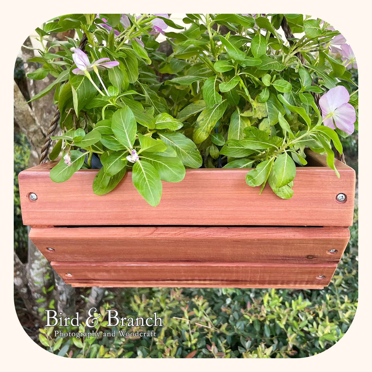 Owl hanging cedar basket planter