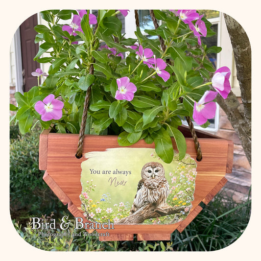 Owl hanging cedar basket planter