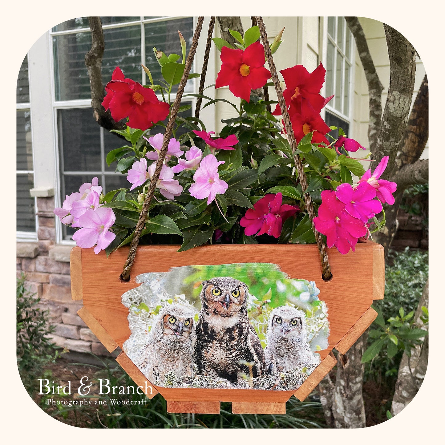 Great Horned Owl family hanging cedar basket planter
