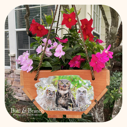 Great Horned Owl family hanging cedar basket planter