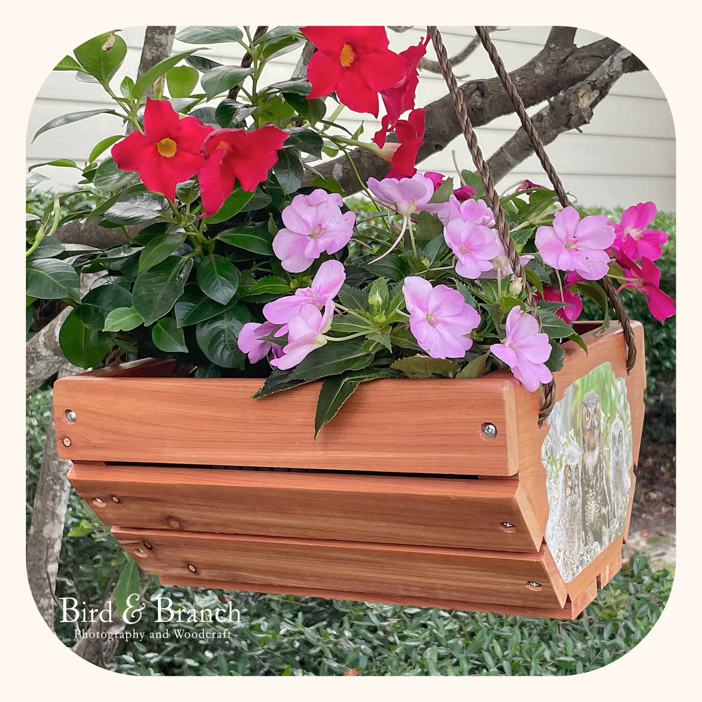 Great Horned Owl family hanging cedar basket planter