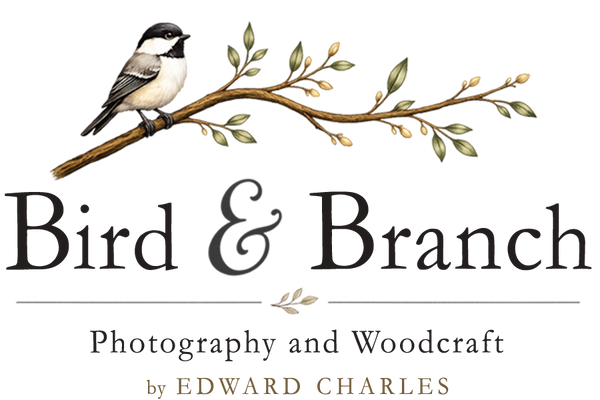 Photography and Woodcraft