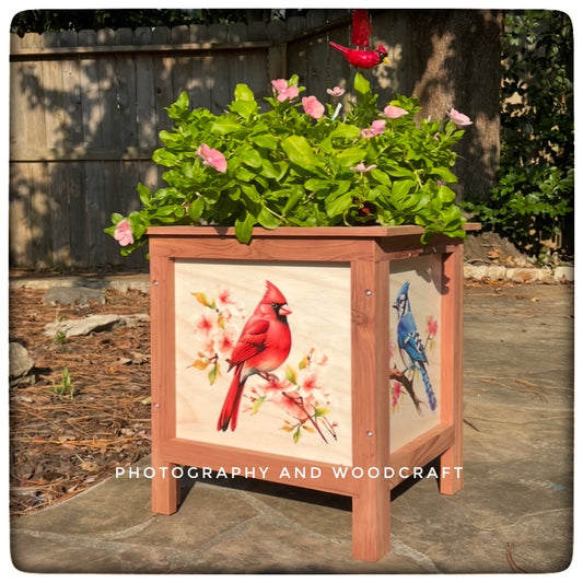 Garden Birds