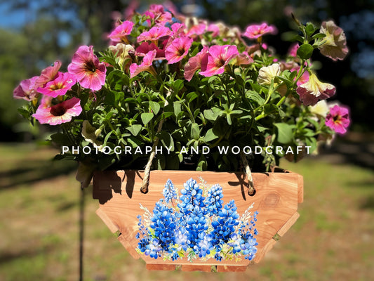 "Bluebonnets"
