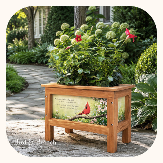Cardinal Planter