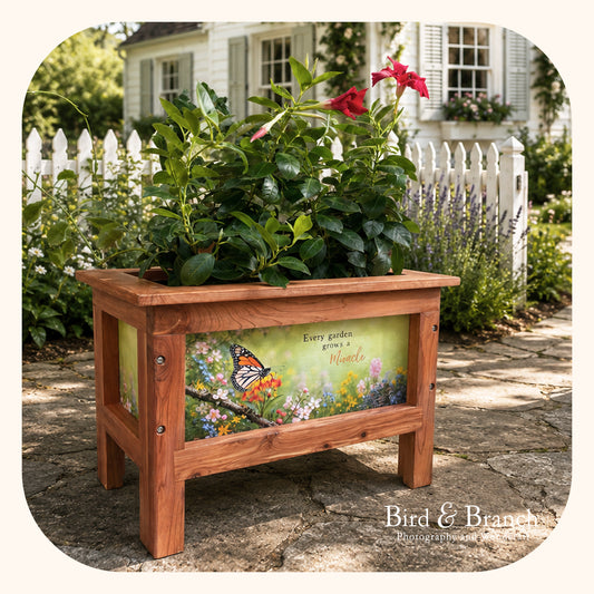 Butterfly Garden