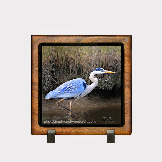 5" x 5" blue heron. Canvas Print in Solid Wood Floating Frame