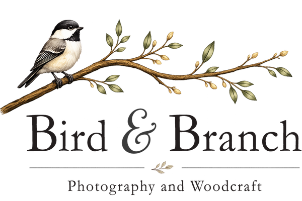 Photography and Woodcraft