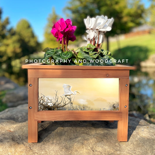Egrets and Spoonbills Planter