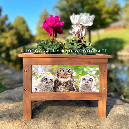 Owls Planter